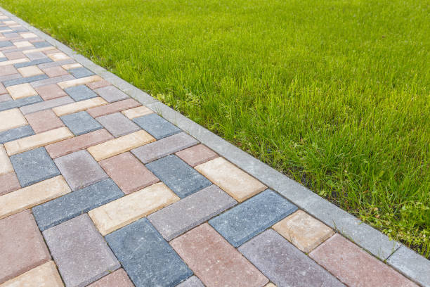 Best Driveway Pavers Near Me  in Mount Olive, NC
